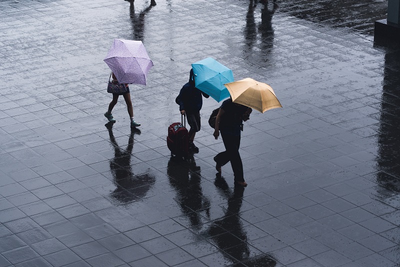 People walking in the rain with their umbrellas up hiding their faces.